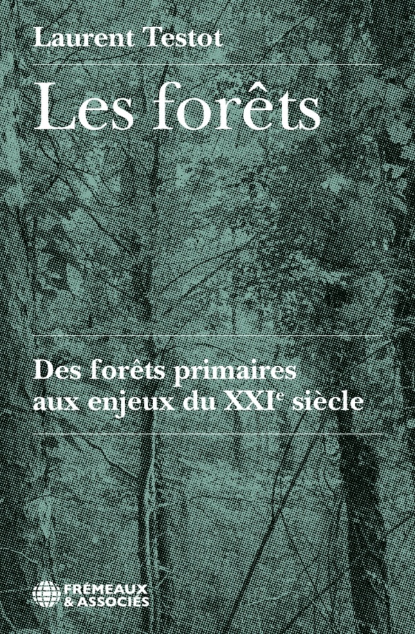 Couverture du livre LES FORETS - DES FORETS PRIMAIRES AUX ENJEUX DU XXIE SIECLE