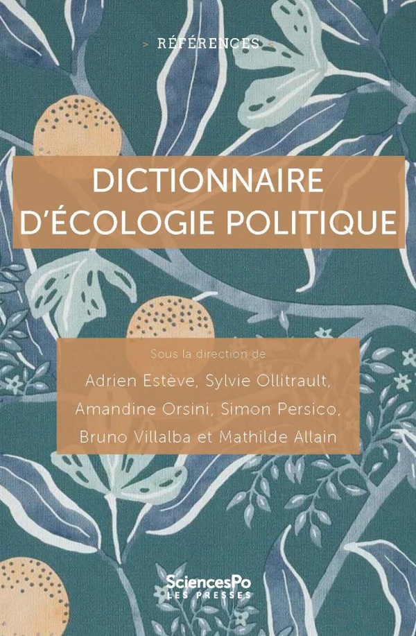Couverture du livre DICTIONNAIRE D'ECOLOGIE POLITIQUE