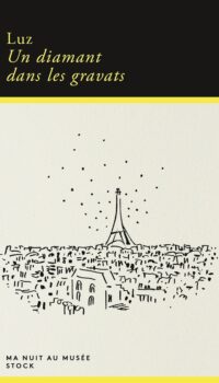 Couverture du livre UN DIAMANT DANS LES GRAVATS