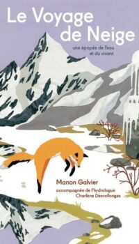 Couverture du livre LE VOYAGE DE NEIGE - ILLUSTRATIONS